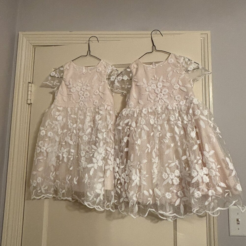 Toddler Flower Girl / Occassion Dresses 2T